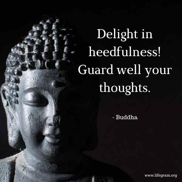 best Buddha quotes
