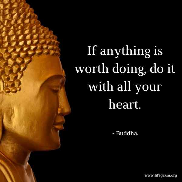 motivational buddha quotes 